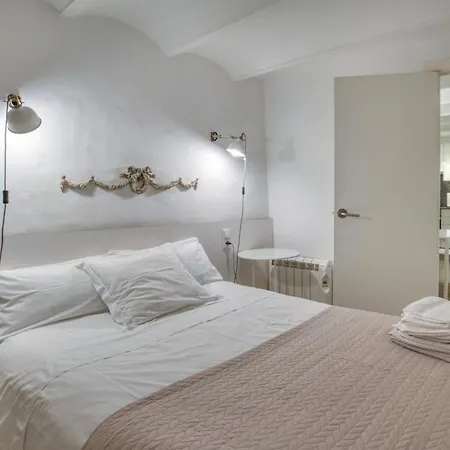 Old Side Two Apartament Girona